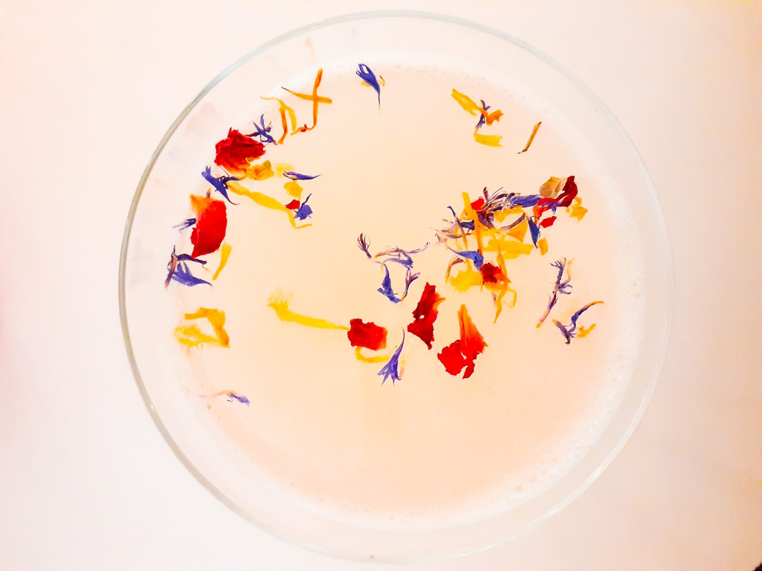 Colorful dried florals floating atop a lavender-flavored martini.